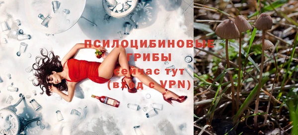 прущие крисы Сатка